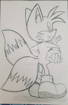 Tails sketch 