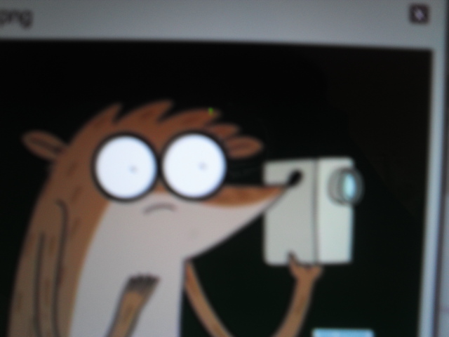 Rigby With Camera