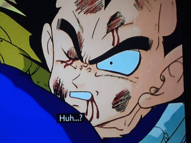 Vegeta Defeated