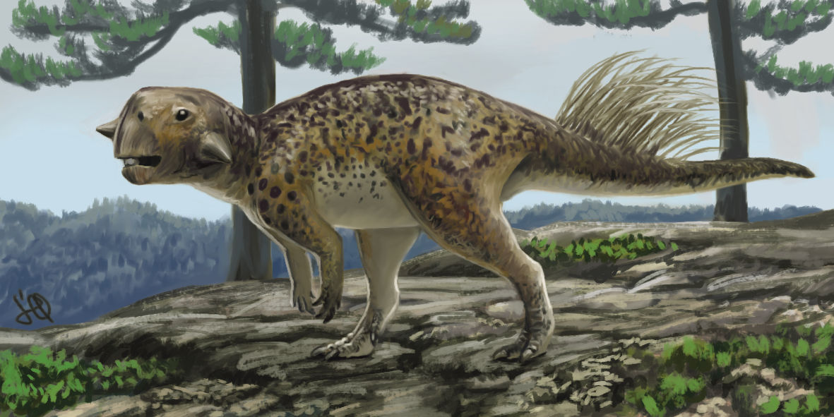 Psittacosaurus mongoliensis by judoliveira on DeviantArt