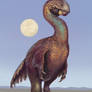 Gigantoraptor erlianensis