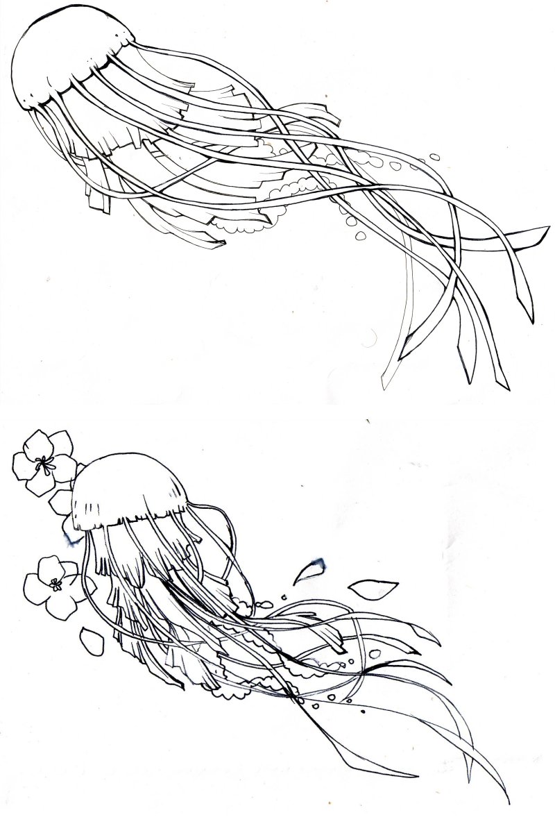 preliminary design: jellyfish