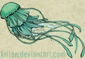 tatoo design: jellyfish
