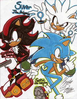 sonic shadow and silver