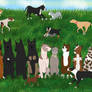 23 Dog Play Date