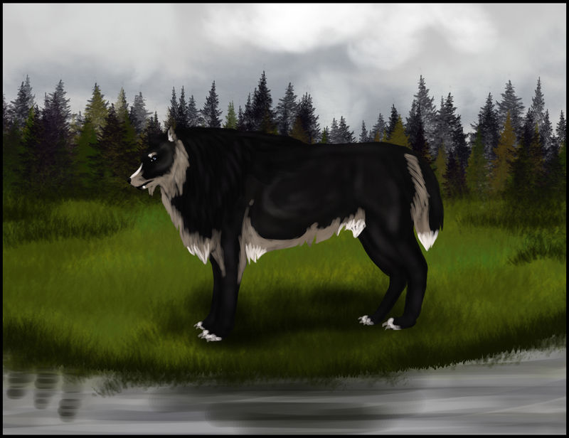 Lakeside Stroll by Vesryna