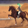 Skip :: SVI Schooling Show - 2nd place