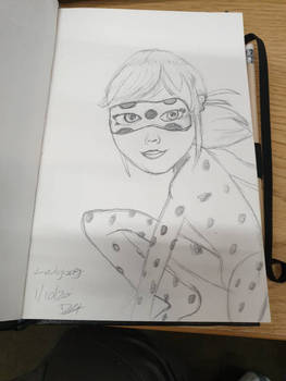 ladybug sketch