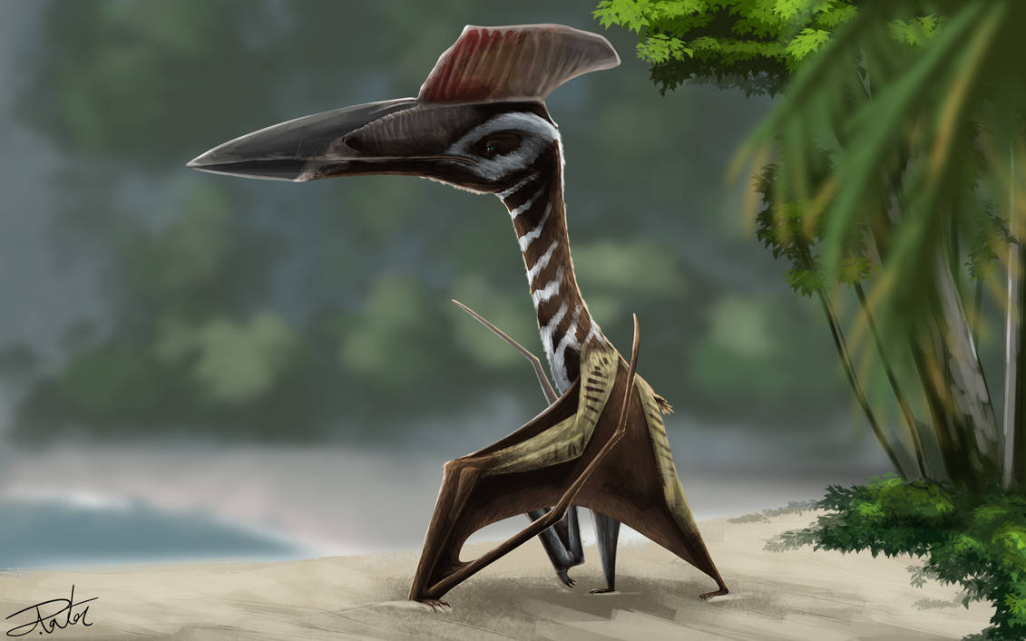 Hatzegopteryx By Gugenheim98 On DeviantArt hatzegopteryx-by-gugenheim98-on-deviantart
