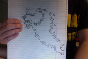 wolf drawing not finished