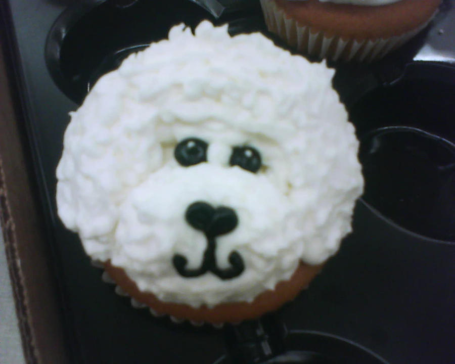 bichon frise cup cake