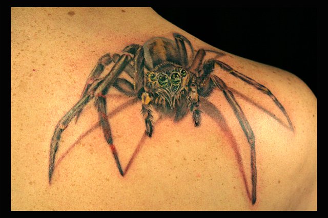 Spider Tattoo