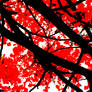 Red Tree