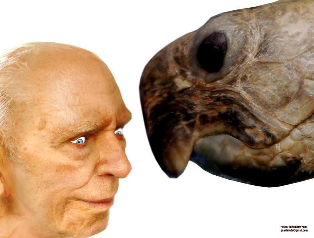 Man Turtle Face A man and his turtle by Paka3d on DeviantArt