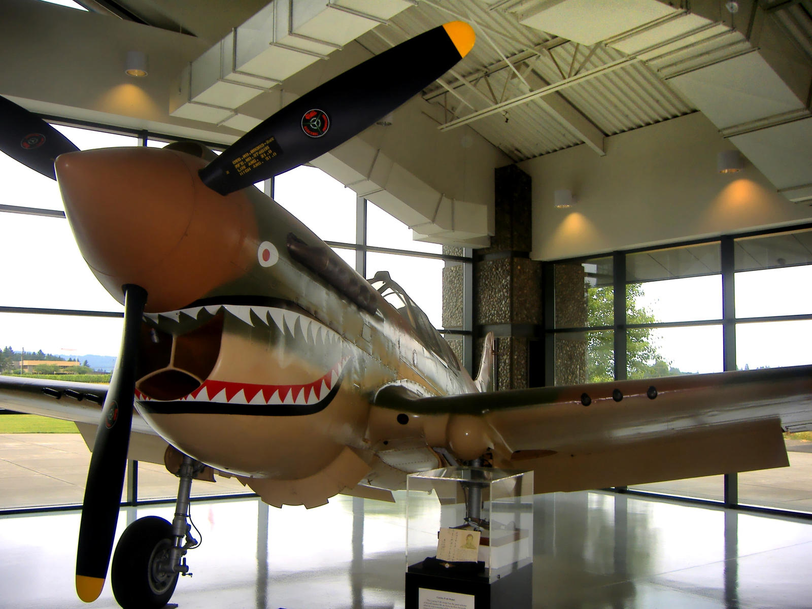 P-40 Warhawk