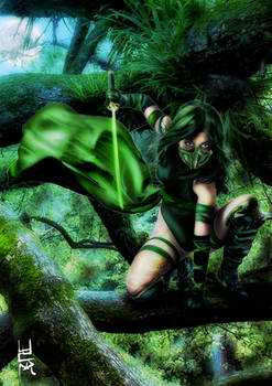 Green Ninja General For Musha Shugyo  Ninja Saga  