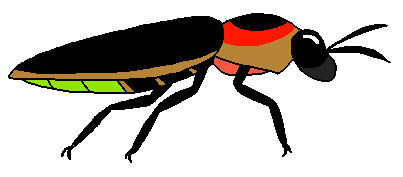 FireFly by Haken373737 on DeviantArt