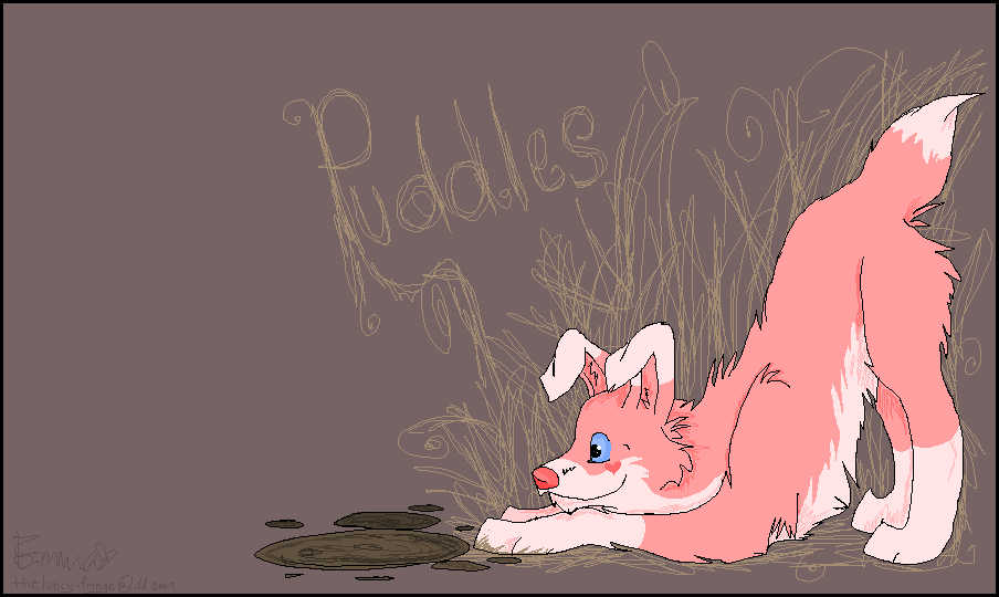 puddles likes puddles