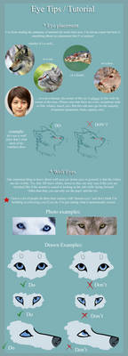 eye tips and tutorial