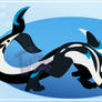 Dragon-orca adopt (closed)