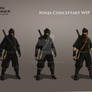 Ninja Concept for Chivlary DW DLC