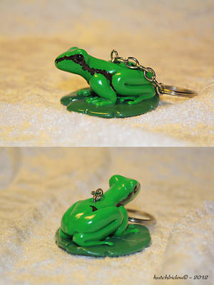 A  little frog (rainette verte)