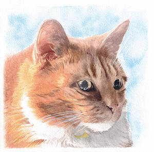 Pepite, ginger cat commissioned