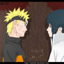 Naruto and sasuke ver 1