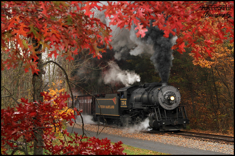 Fall Steam