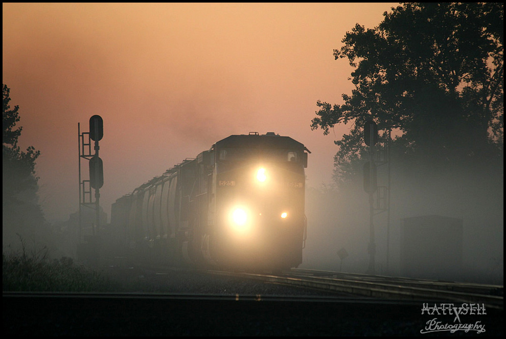 Foggy morning