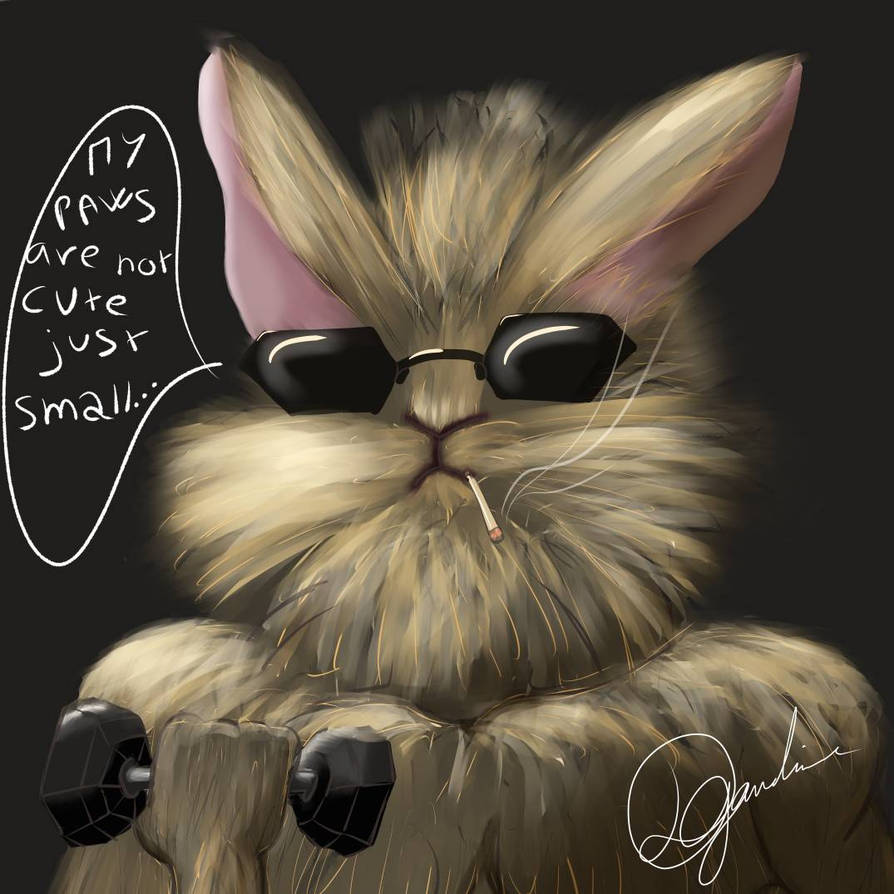 the muscle bunny by Didou3009 on DeviantArt