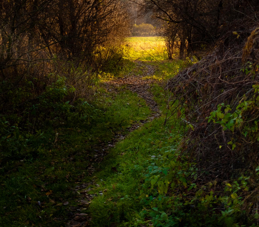 Path to light