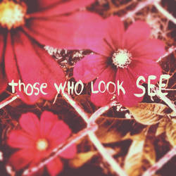 Those who look SEE