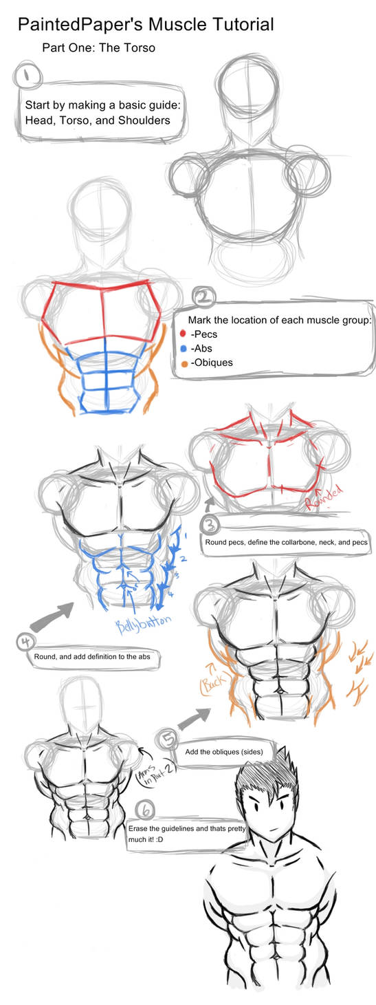 Big Muscles Tutorial - Part 1 by paintedpaper on DeviantArt