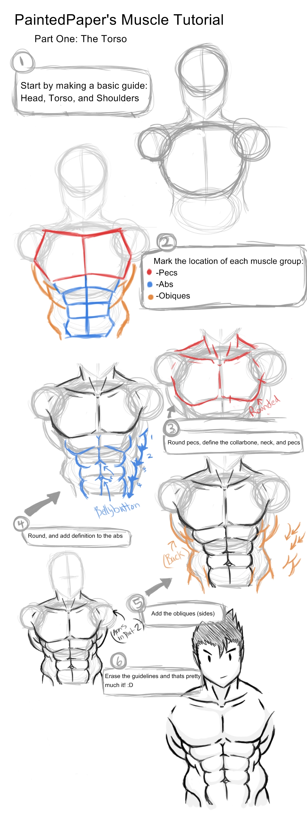 Big Muscles Tutorial - Part 1 by paintedpaper on DeviantArt
