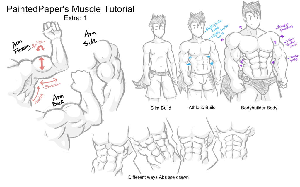 Big Muscles Tutorial Extra by paintedpaper on DeviantArt