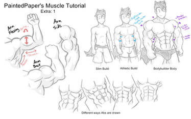 Big Muscles Tutorial - Extra