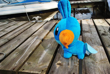 MUDKIP!