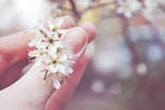 Spring II by Raindom