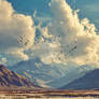 Birds and the sky #4