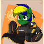 Pony diver chacek ych