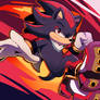 Shadow