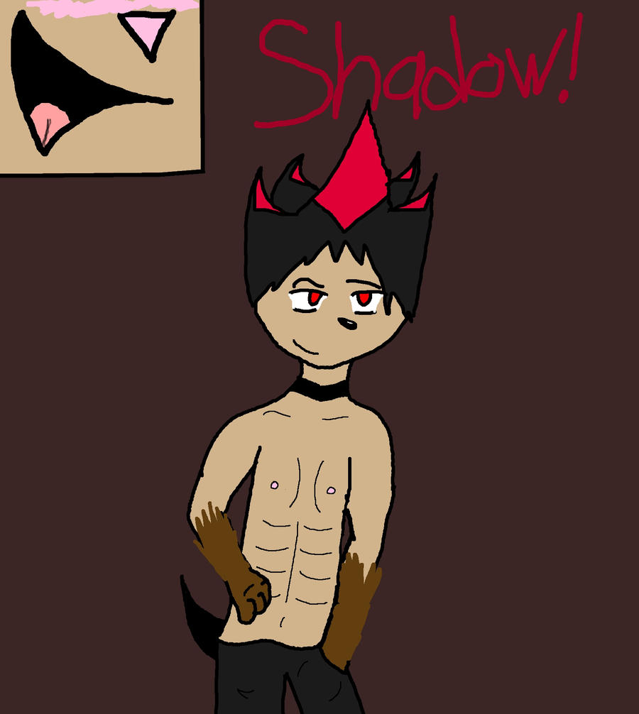 Shadow the semy