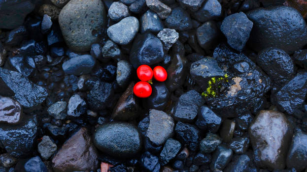 Icelandic Berries