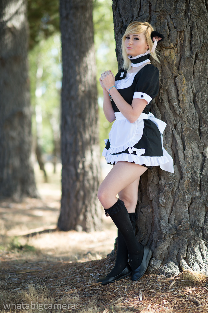 Neko Maid: Tree Stump