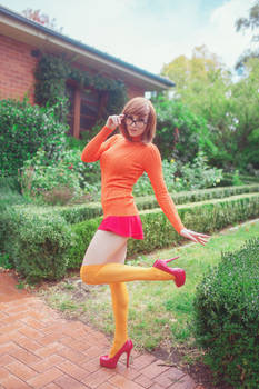 Velma 3