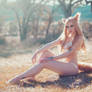 Holo | Spice and Wolf | 2