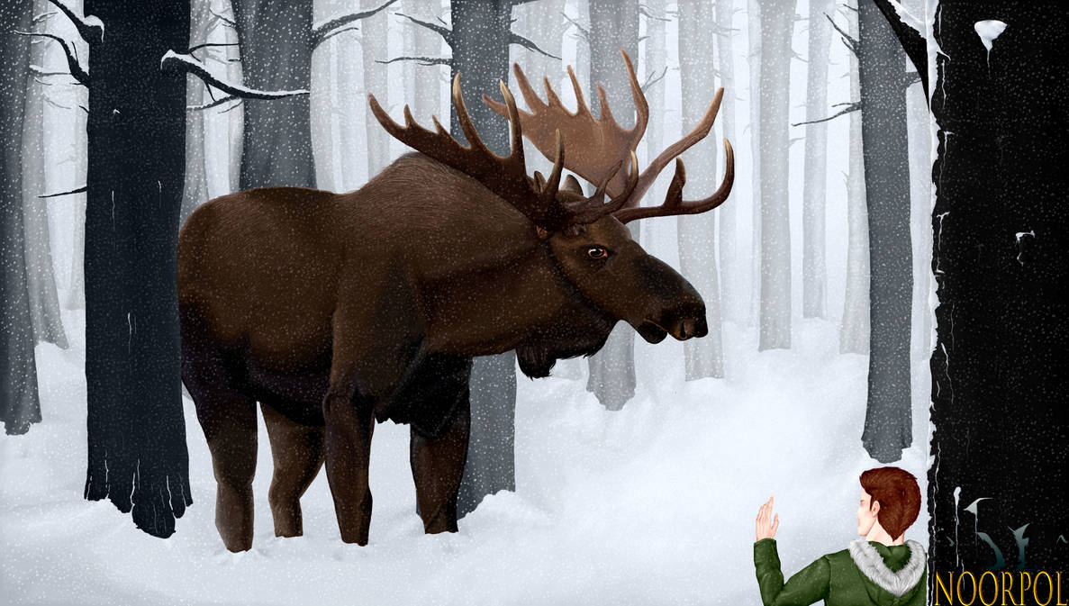 Moose by NOORPOL
