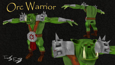 Orc Warrior collage
