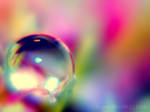:rainbow: by onixa